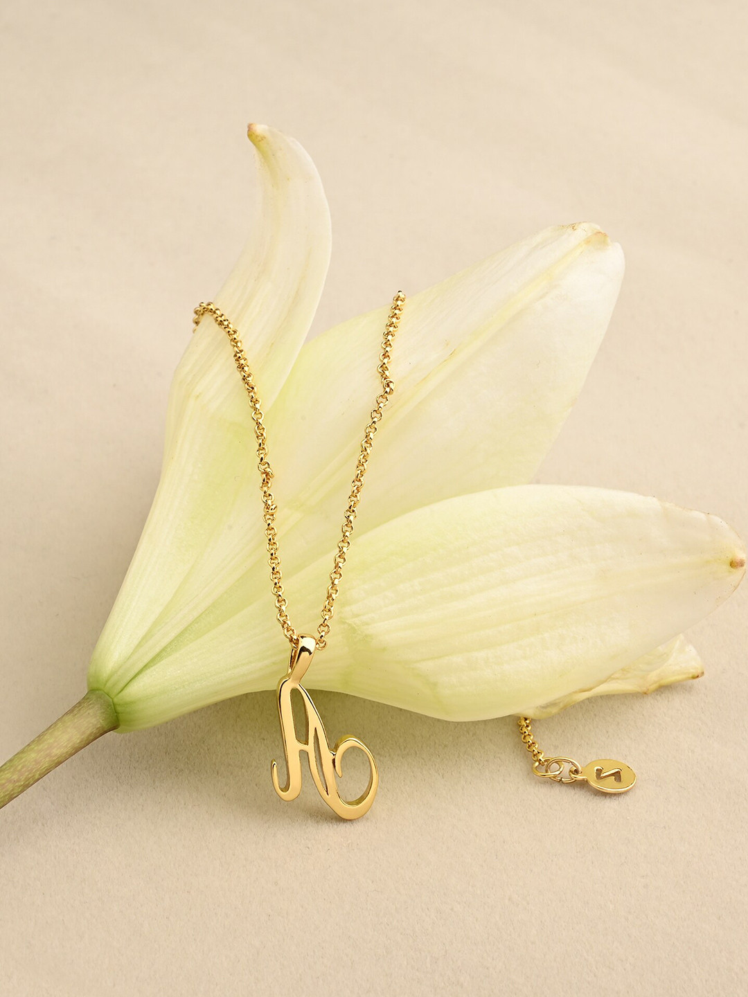 

Accessorize Gold-Plated Initial-Charm Pendants With Chains