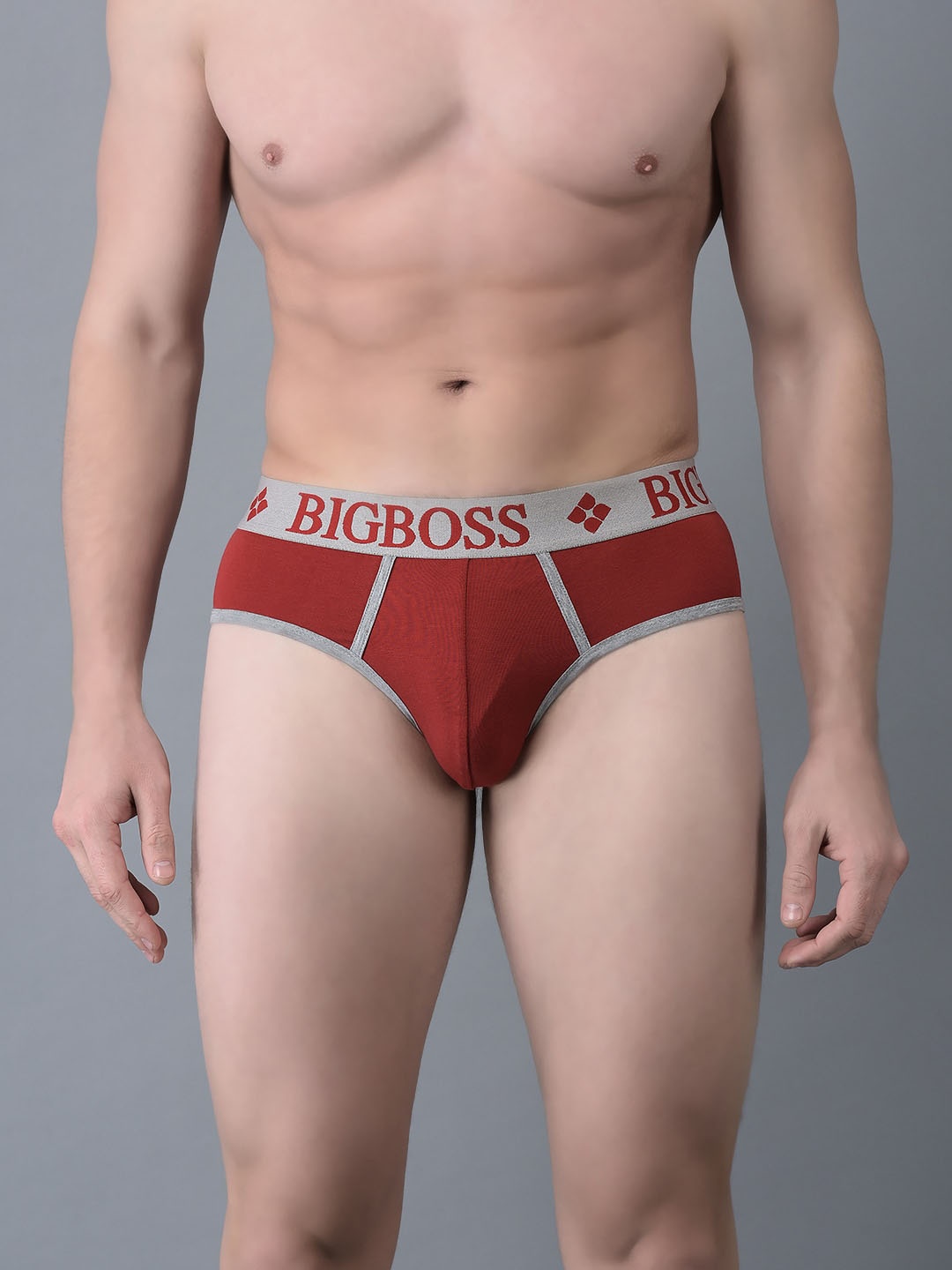 

Dollar Bigboss Assorted Anti Microbial Basic Briefs MJBR-11-TCHNO-PO1-CO4-2024