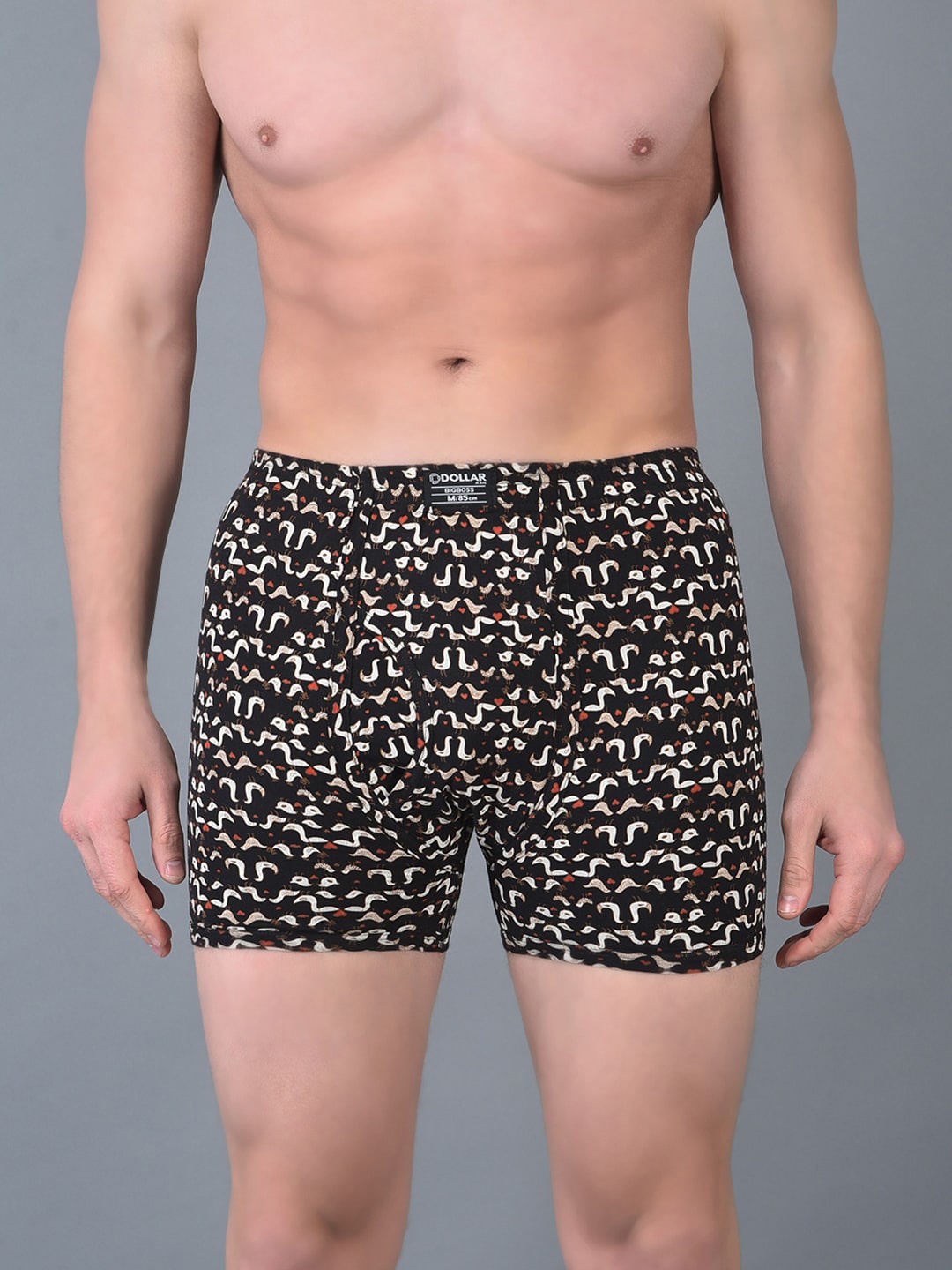 

Dollar Bigboss Printed Assorted Trunk MBTR-10-CZYLNG-PO1-CO8-2024