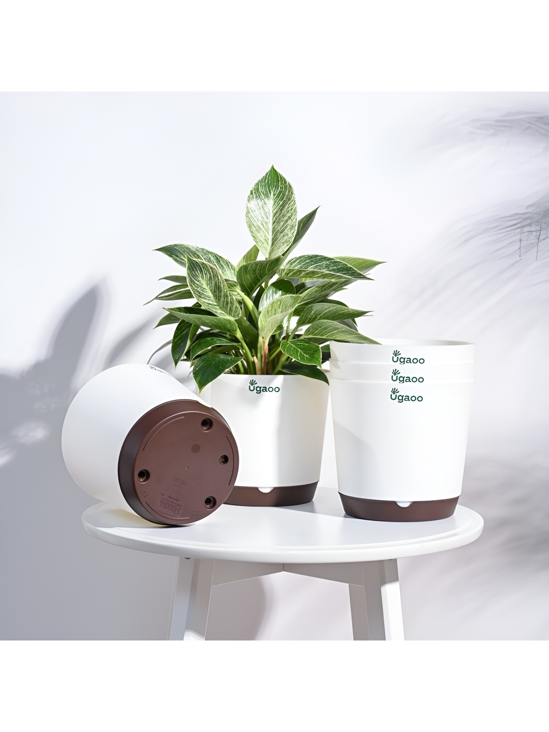 

UGAOO Krish White & Brown 5-pcs Self-Watering Planters