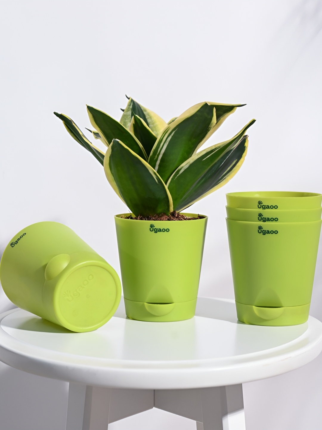 

UGAOO Krish Green 5-pcs Self-Watering Planters