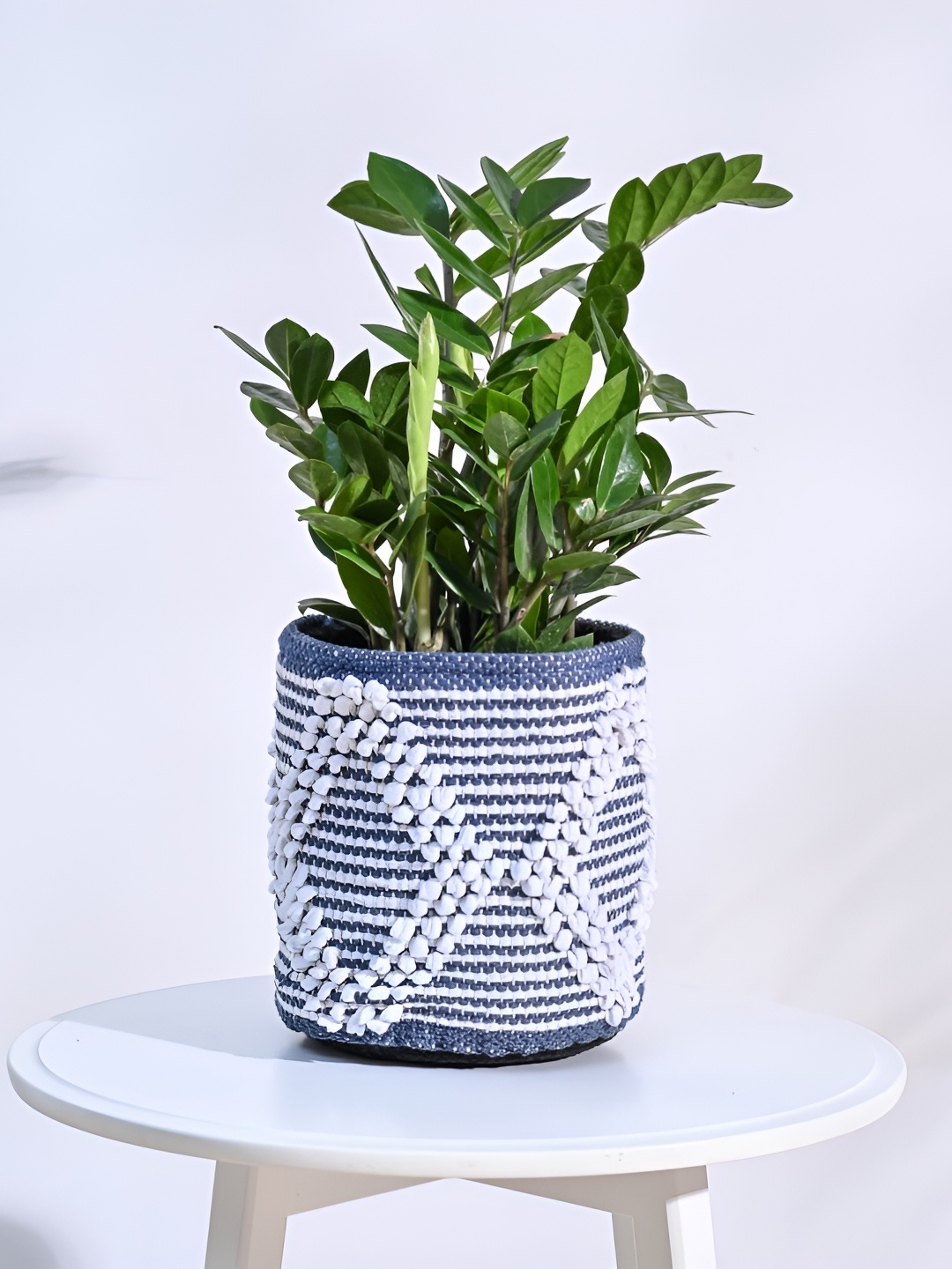 

UGAOO Trinket Blue & White Cotton Planter