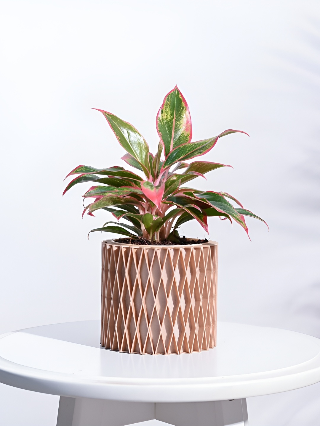 

UGAOO Interlace Charm Brown Wooden Planter