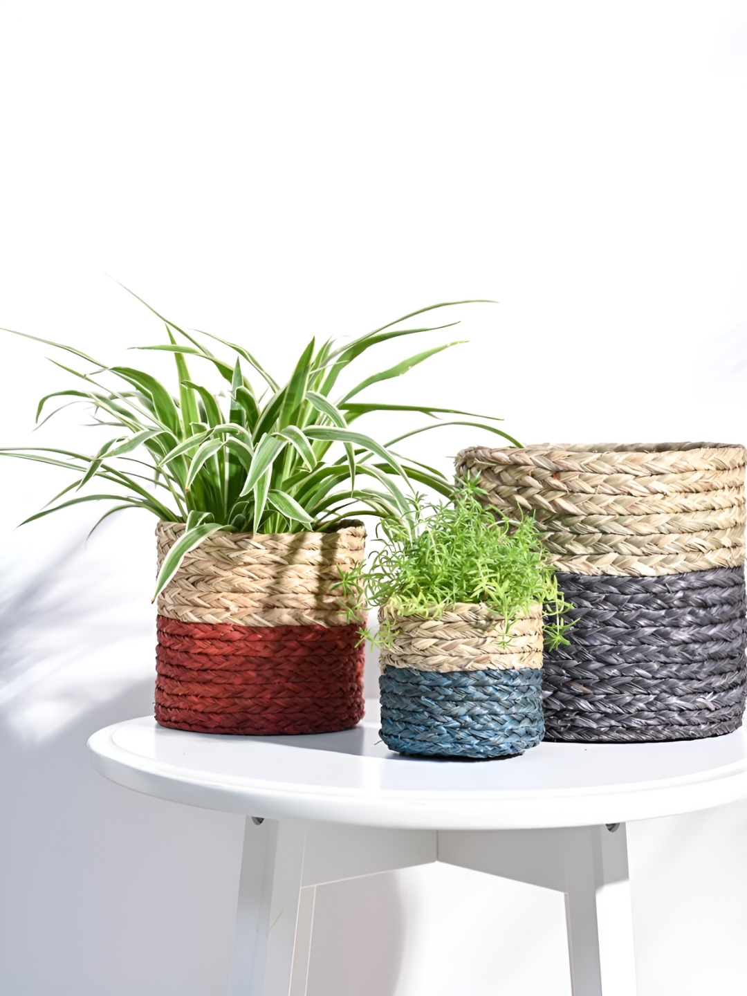 

UGAOO Sabai Grass Red & Green 3-pcs Wooden Planters