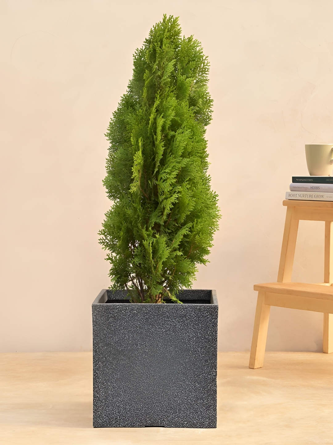 

UGAOO Qubec Grey Textured Planter