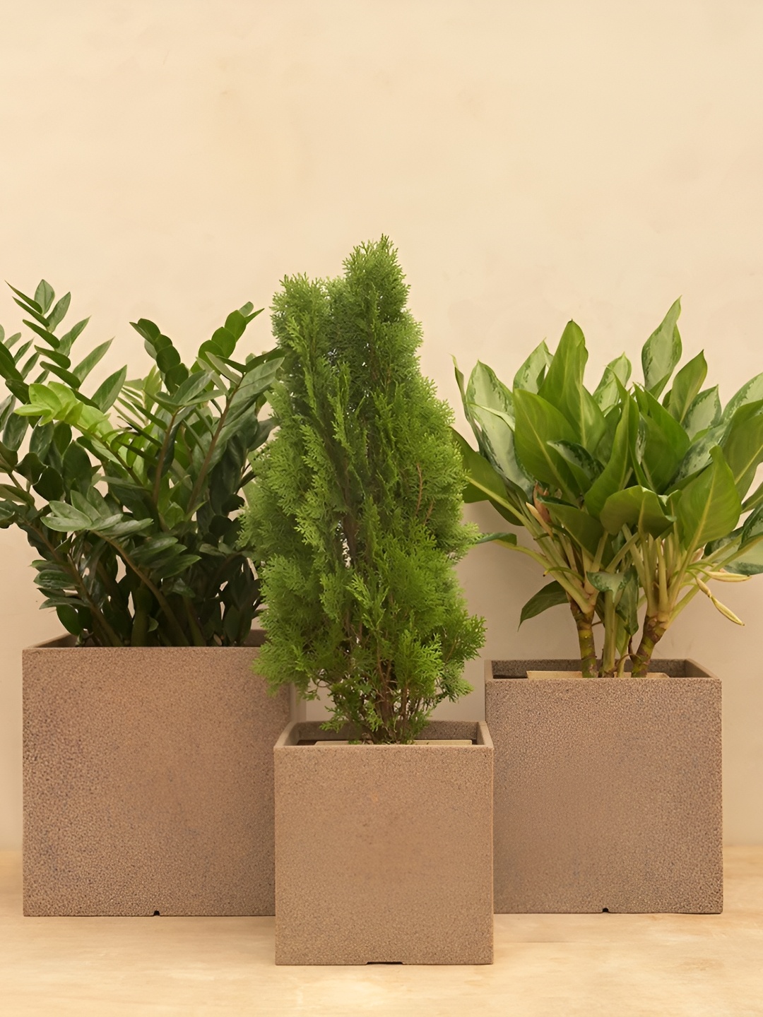 

UGAOO Qubec Beige 3-pcsTextured Planters