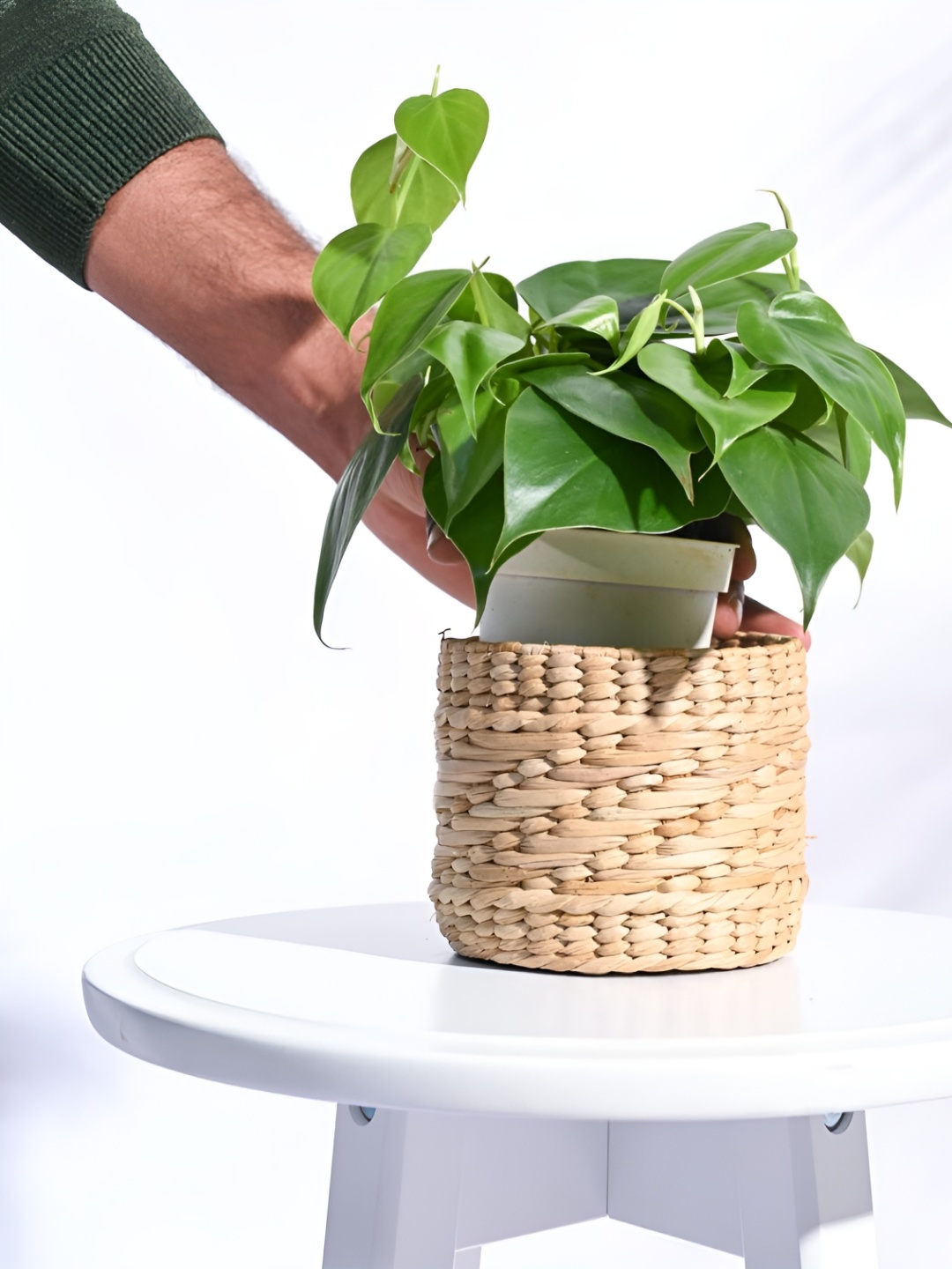 

UGAOO Kauna Grass Brown Textured Wooden Planter