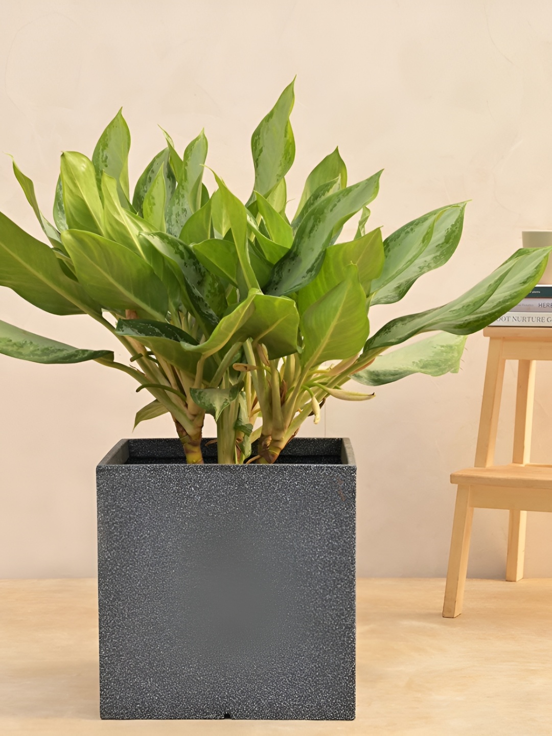 

UGAOO Qubec Grey Textured Planter