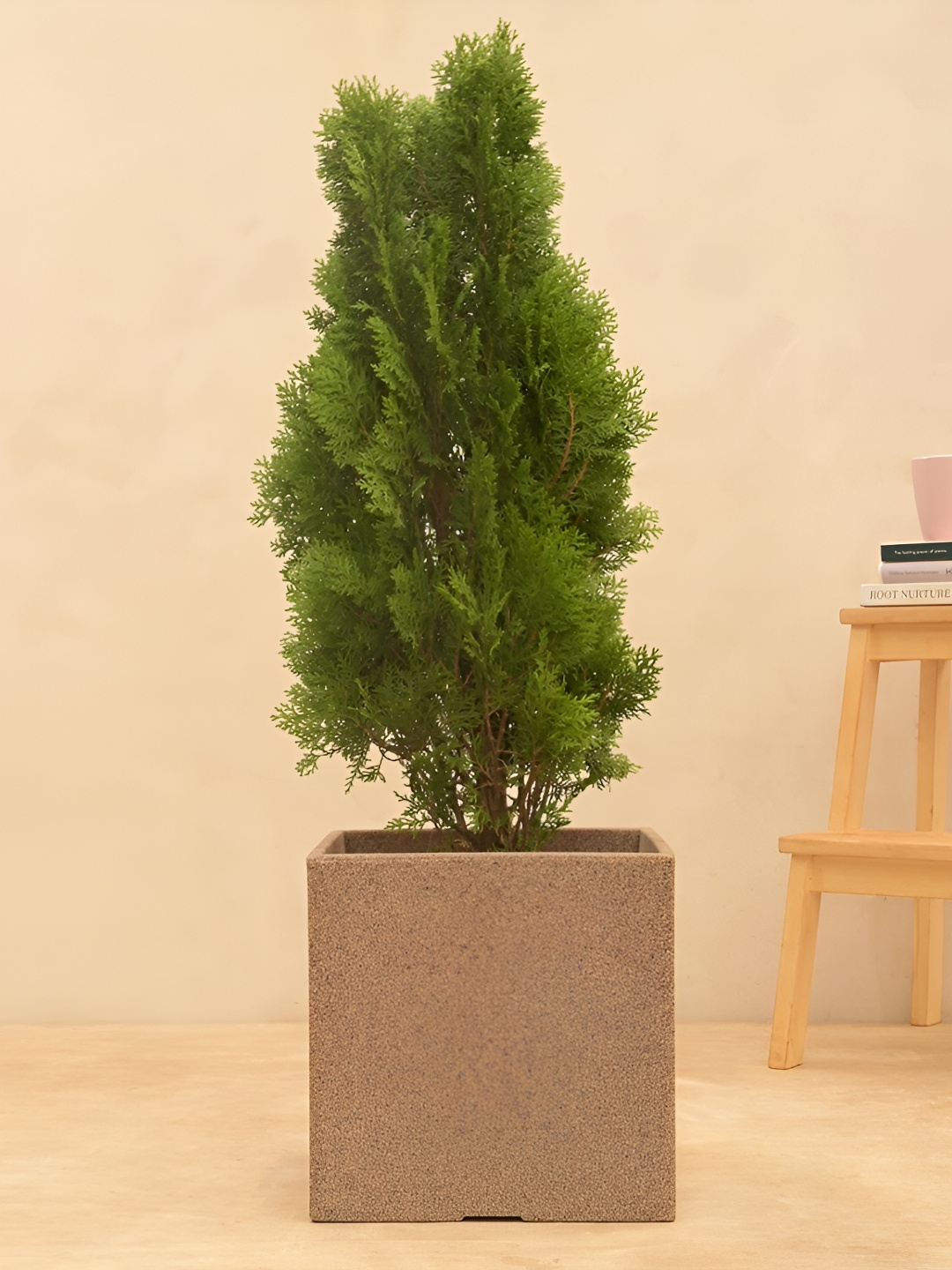 

UGAOO Qubec Brown Textured Planter