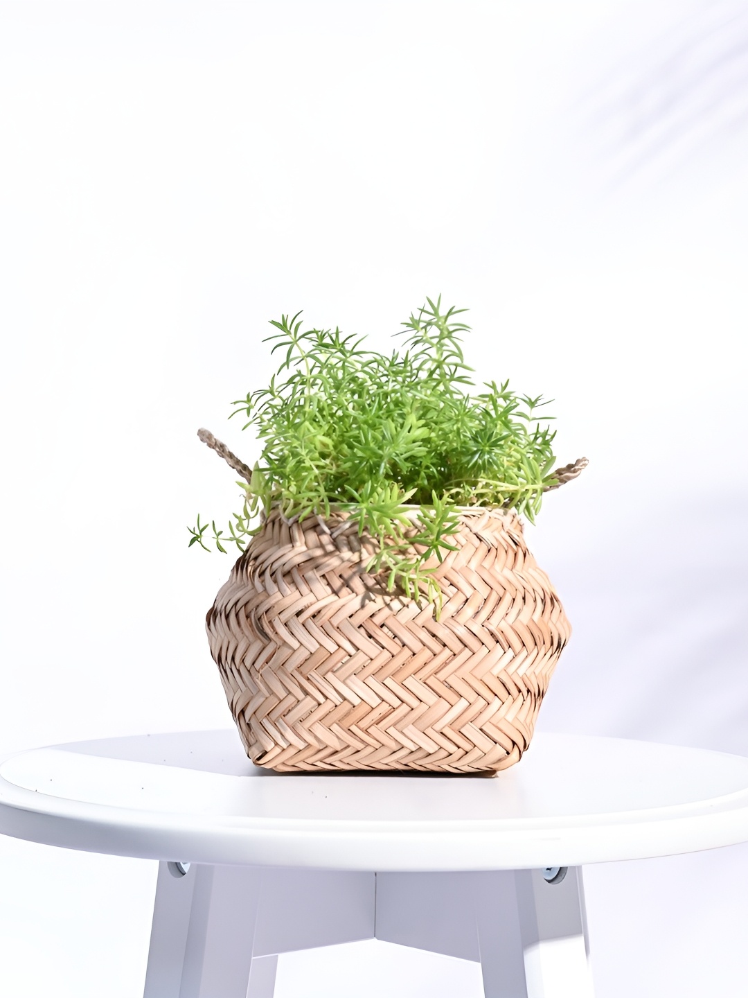 

UGAOO Sitalpati Brown Textured Wooden Planter