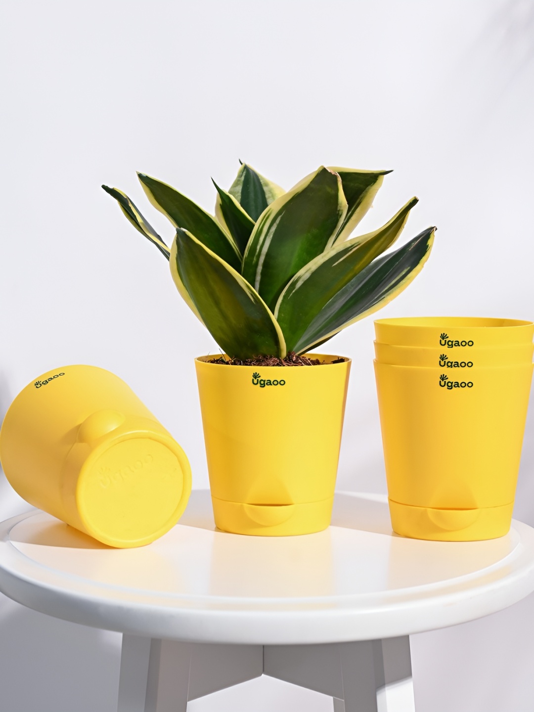 

UGAOO Krish Yellow 5-pcs Self-Watering Planters