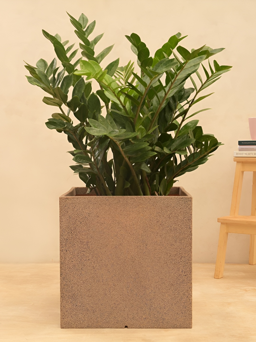 

UGAOO Beige Textured Wooden Planter