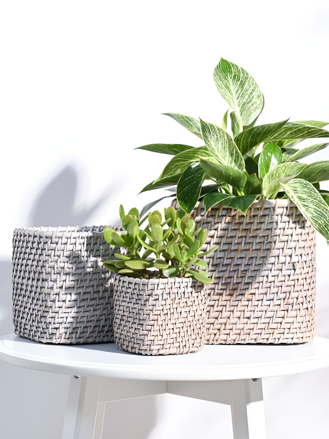 

UGAOO Grey & Beige 3 Pieces Textured Square Wooden Planters