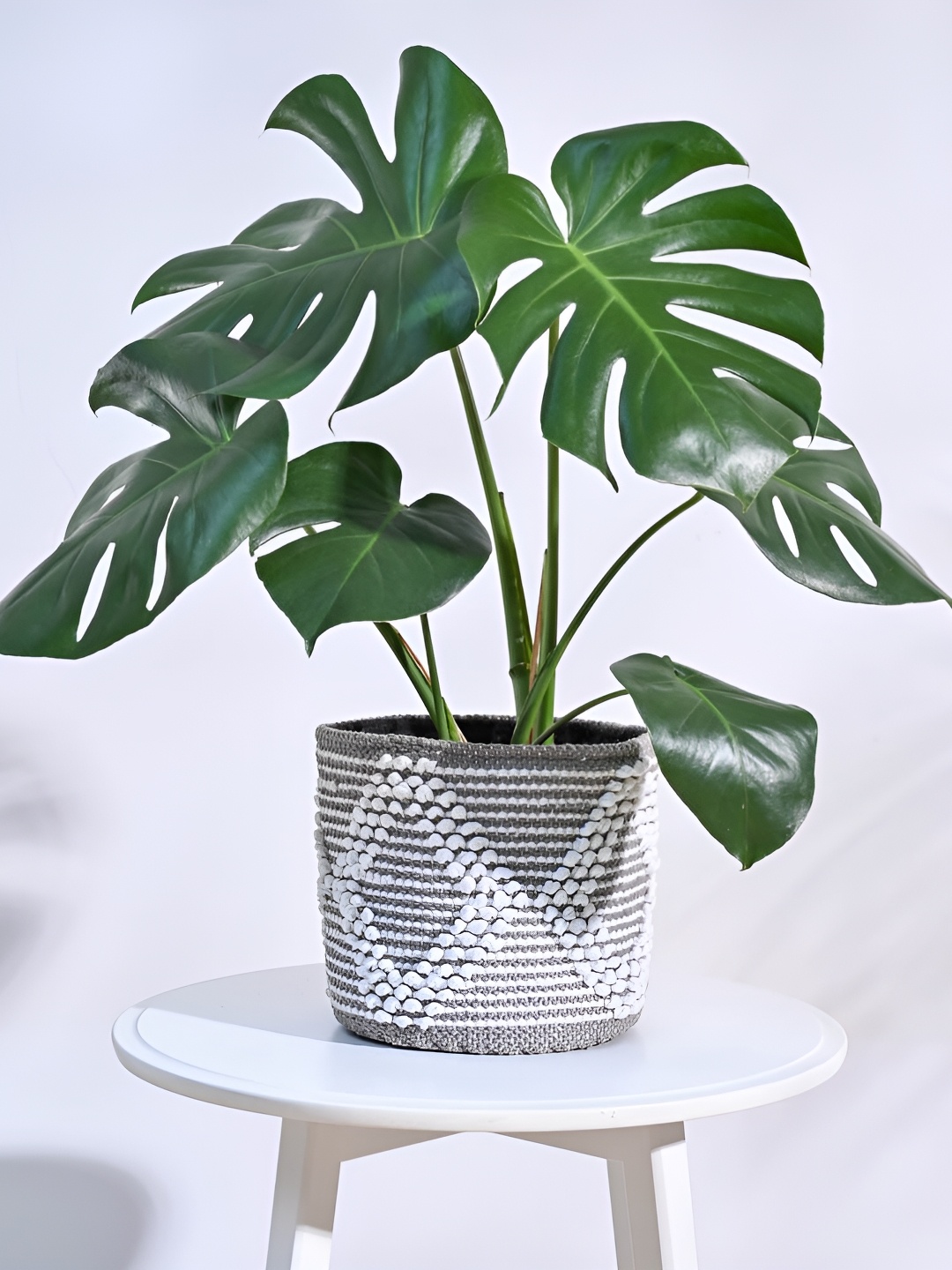 

UGAOO Grey & White Self Designed Cotton Planter