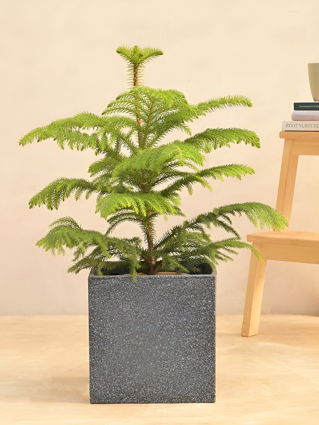 

UGAOO Grey Textured Square Planter