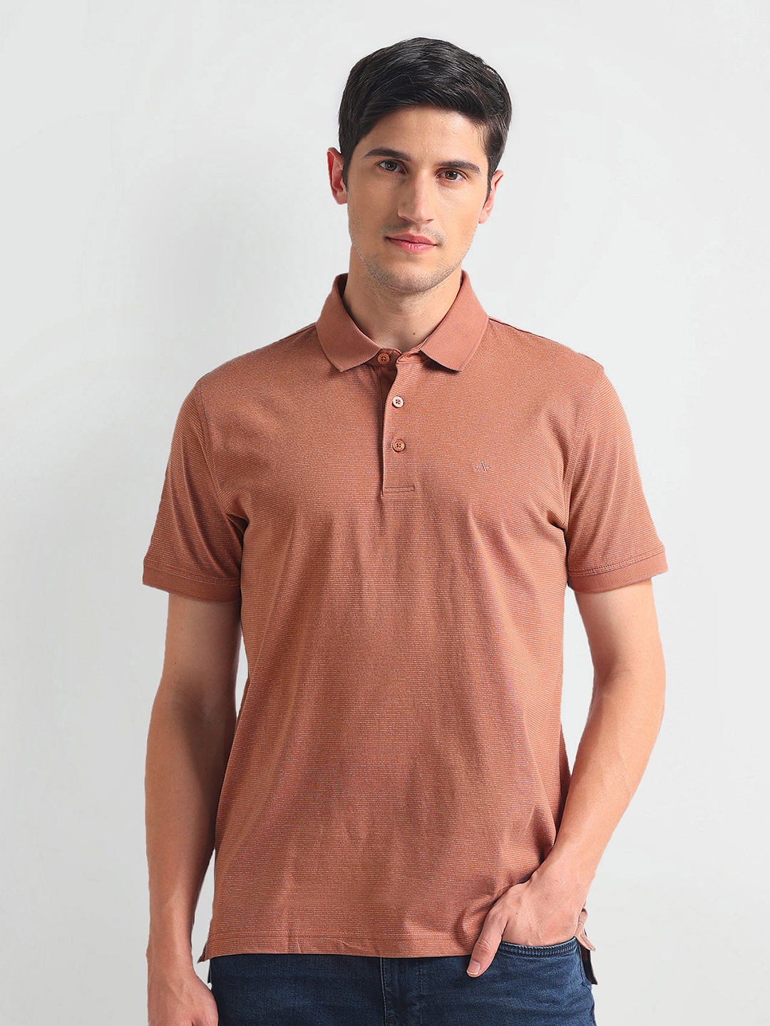 

Arrow Striped Polo Collar Cotton T-shirt, Brown