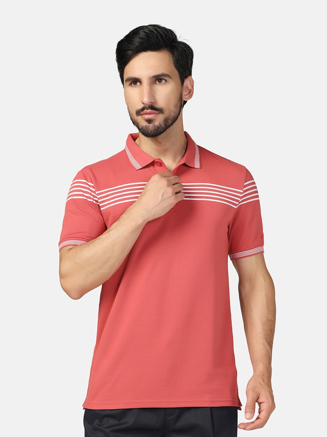 

Blackberrys Striped Polo Collar Slim Fit T-shirt, Pink