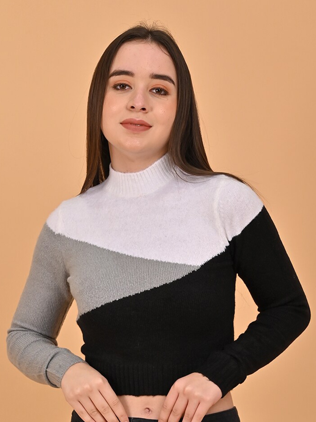 

NoBarr Colourblocked Turtle Neck Acrylic Crop Pullover Sweater, White