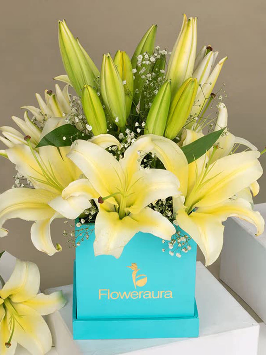 

Floweraura 5-Pcs White Fresh Live Lilly Flowers Bouquet With Box