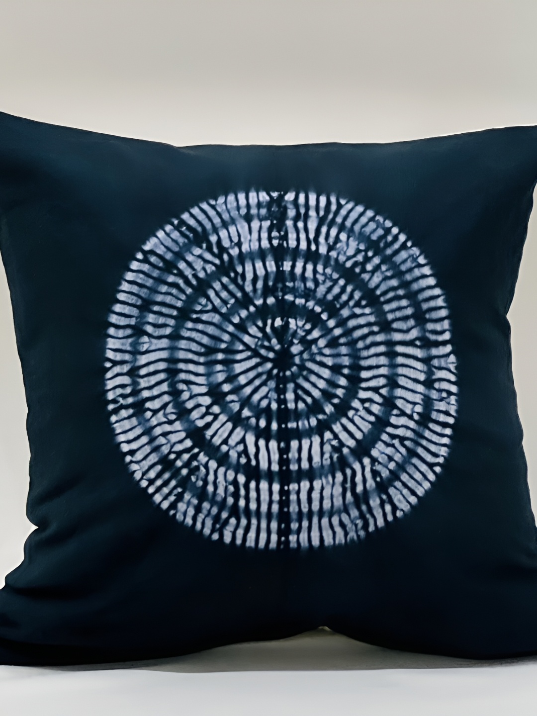 

SLEEPY THREADS Blue & White Square Cushion Covers