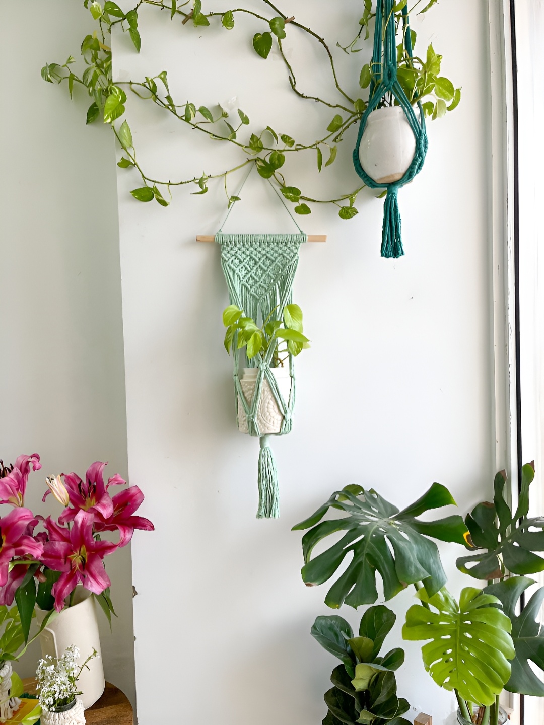 

Story of Knots Green & White Macrame Wall Plant Hanger