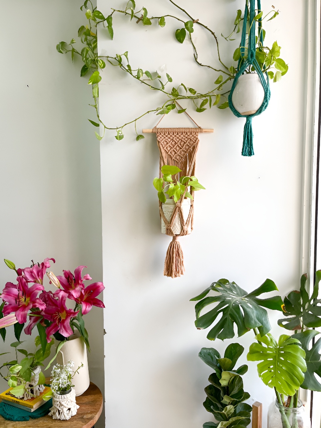 

Story of Knots Brown Macrame Wall Plant Hanger