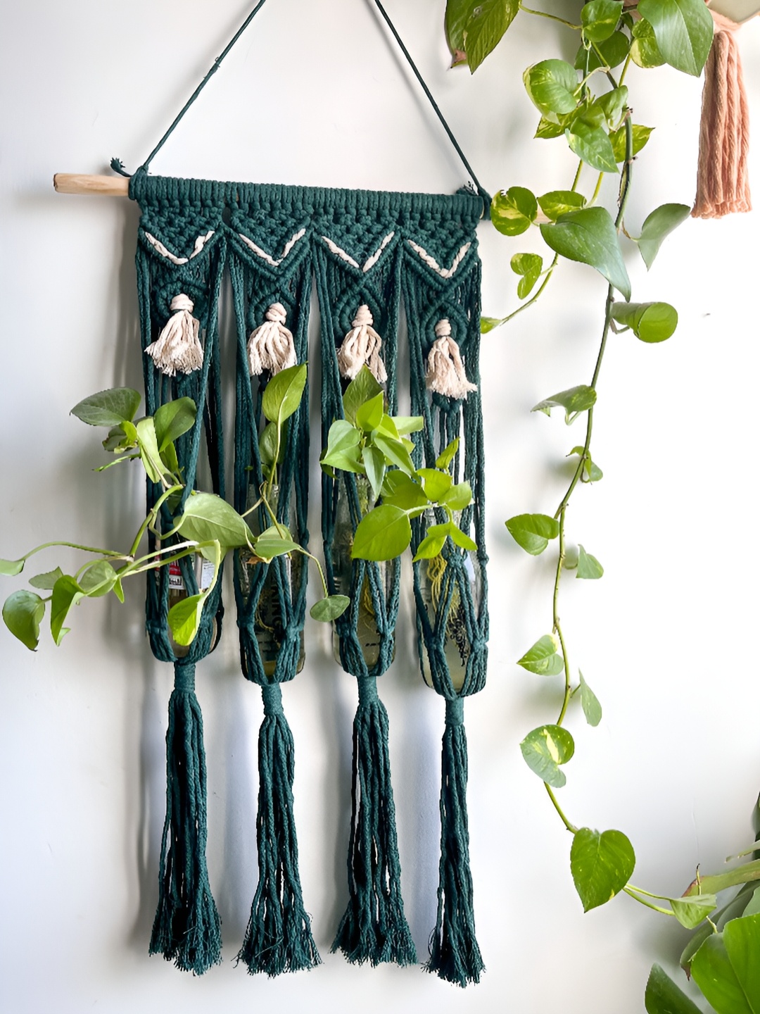 

Story of Knots Green Macrame Plant Propagation Centre