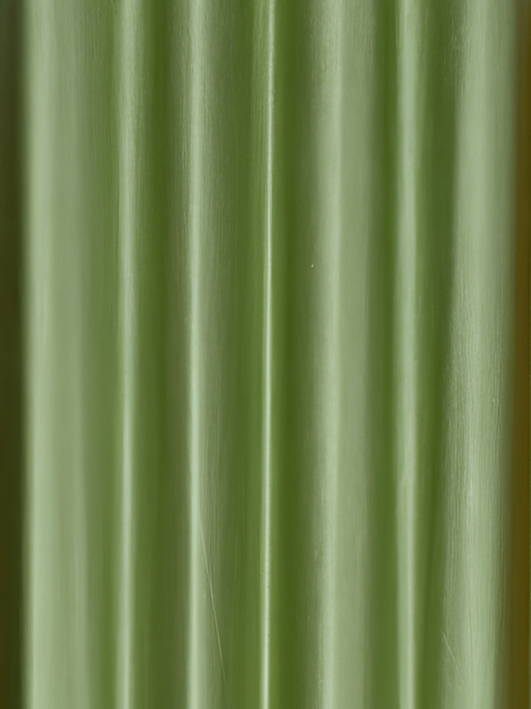 

Galaxy Home Decor Green Set of 3 Floral Room Darkening Door Curtain