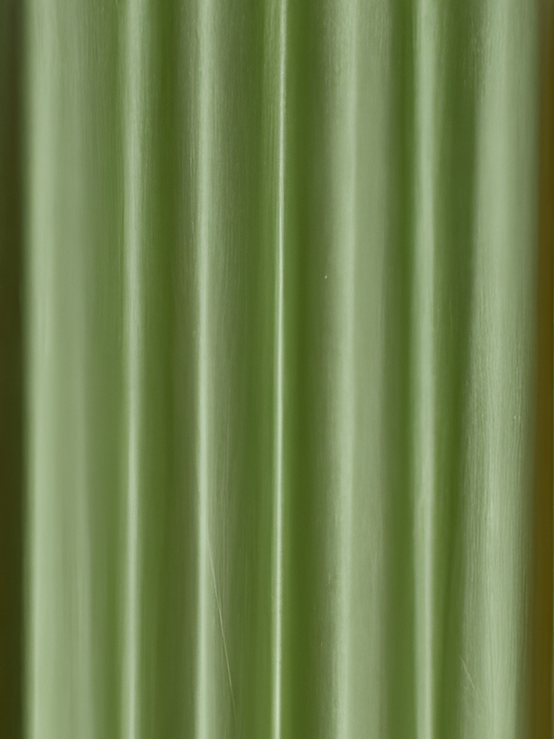 

Galaxy Home Decor Green Set of 4 Floral Room Darkening Door Curtain