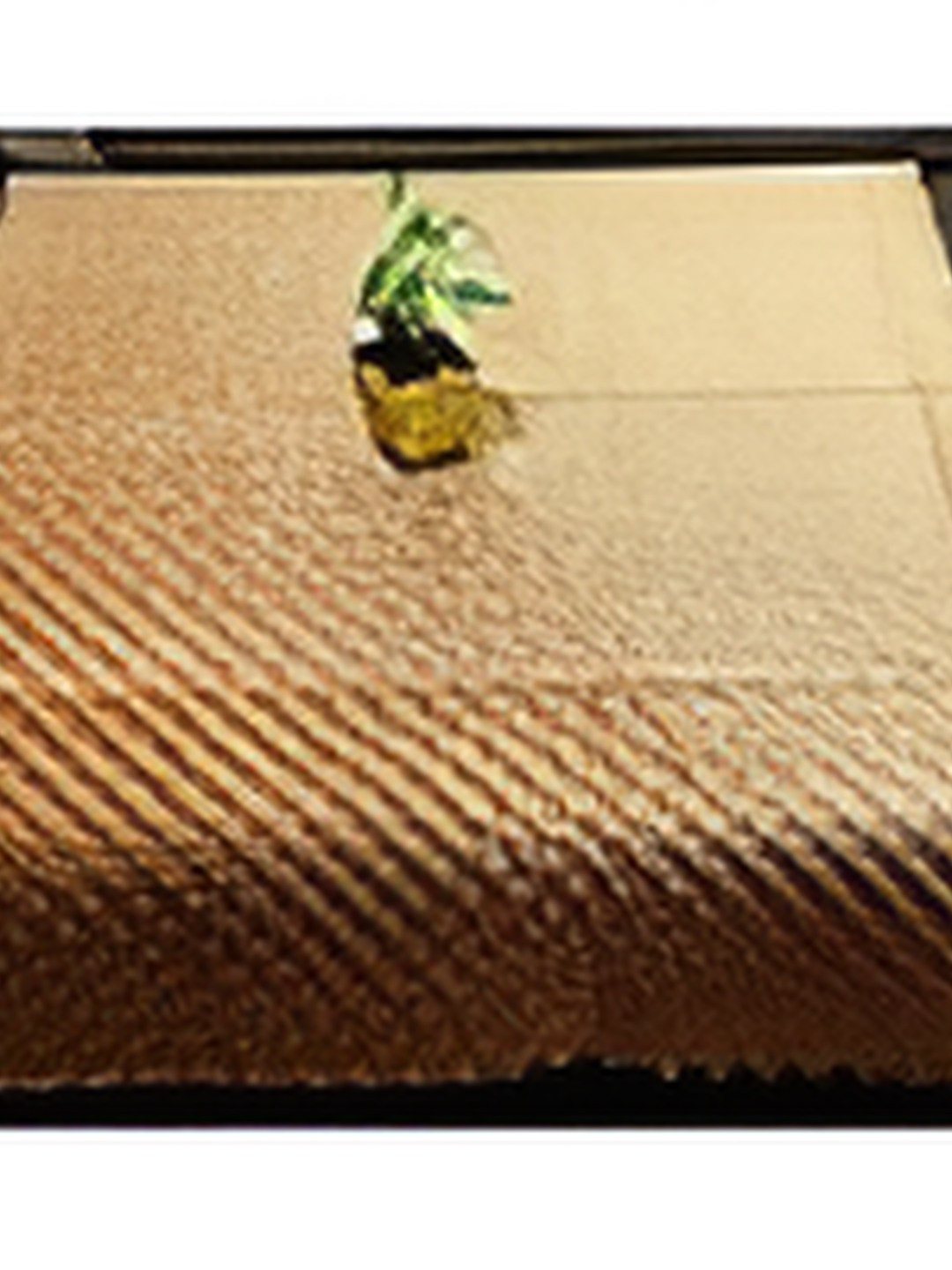 

CASA-NEST Gold-Toned 4-Seater Table Cover