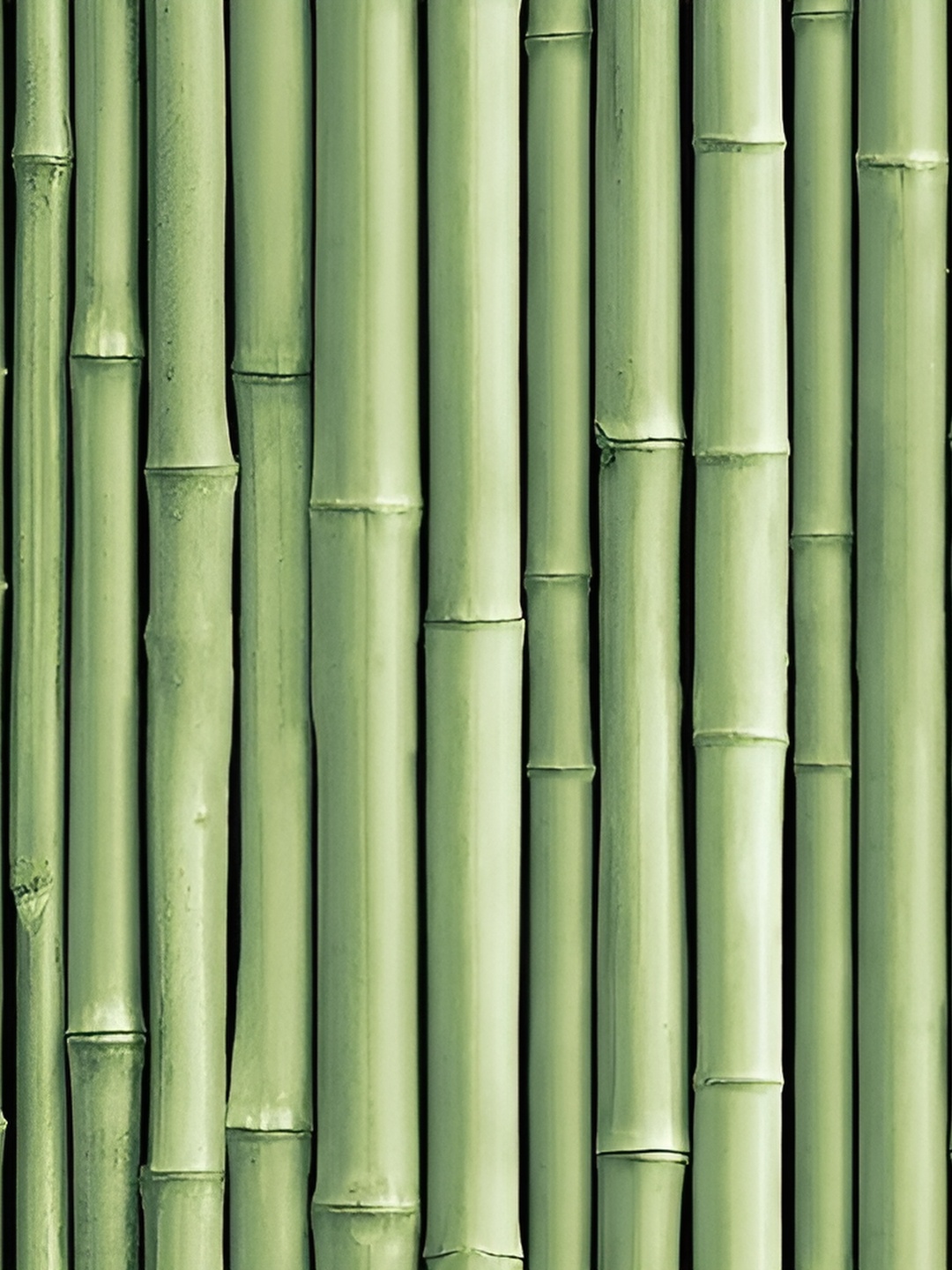 

British Terminal Green Abstract Printed Self-Adhesive Wallpaper