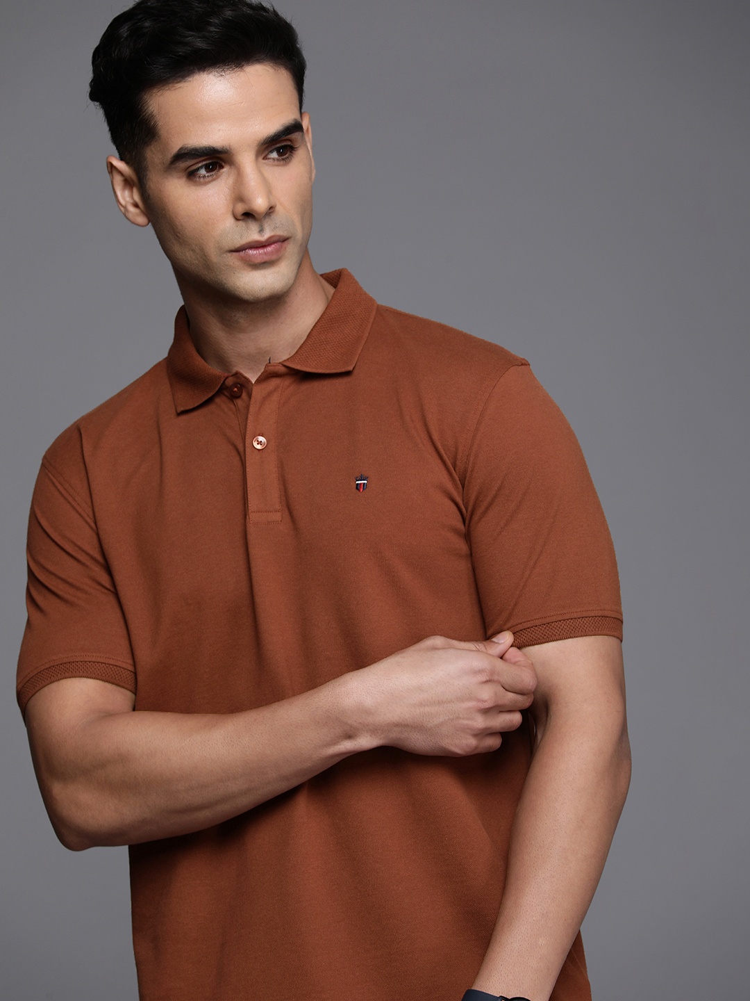 

Louis Philippe Sport Polo Collar Slim Fit T-shirt, Brown