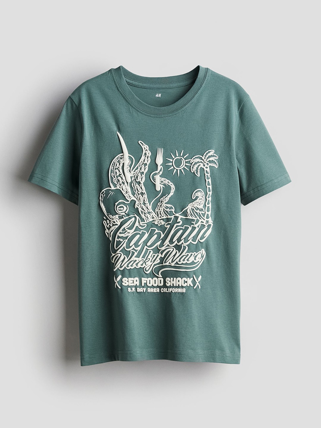 

H&M Boys Pure Cotton Printed T-Shirt, Green