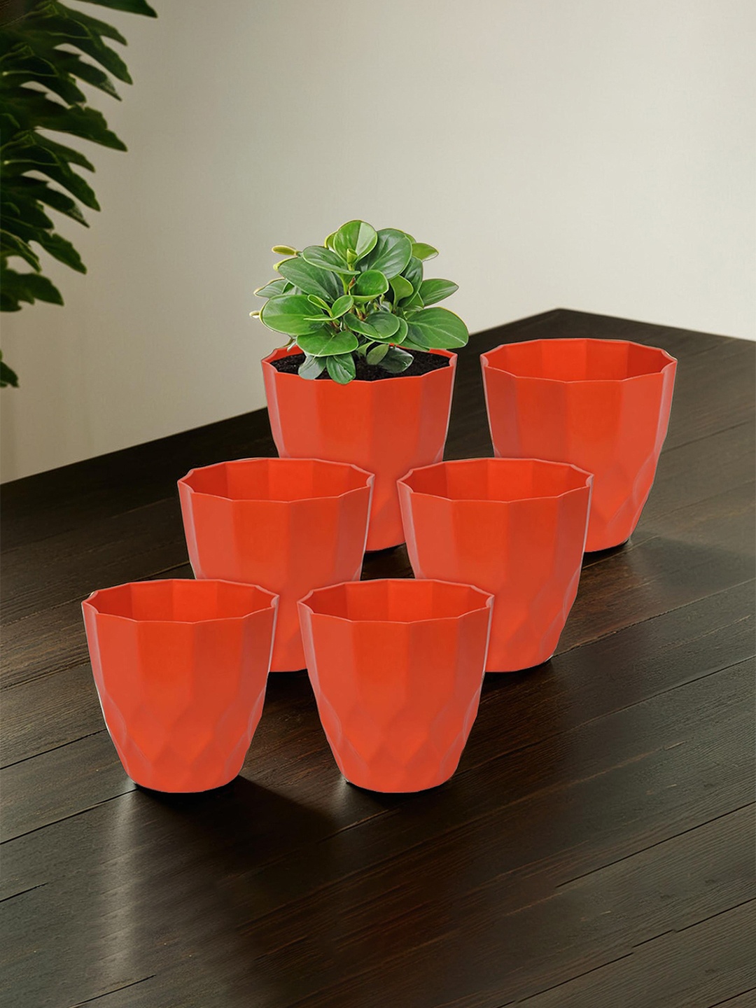 

Kuber Industries Orange 6 Pieces Textured Flower Planters