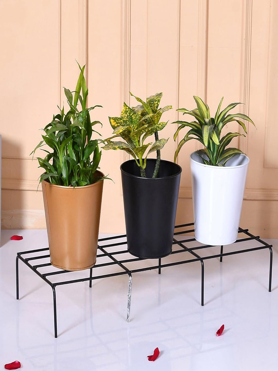 

Kuber Industries Black Planter Stand