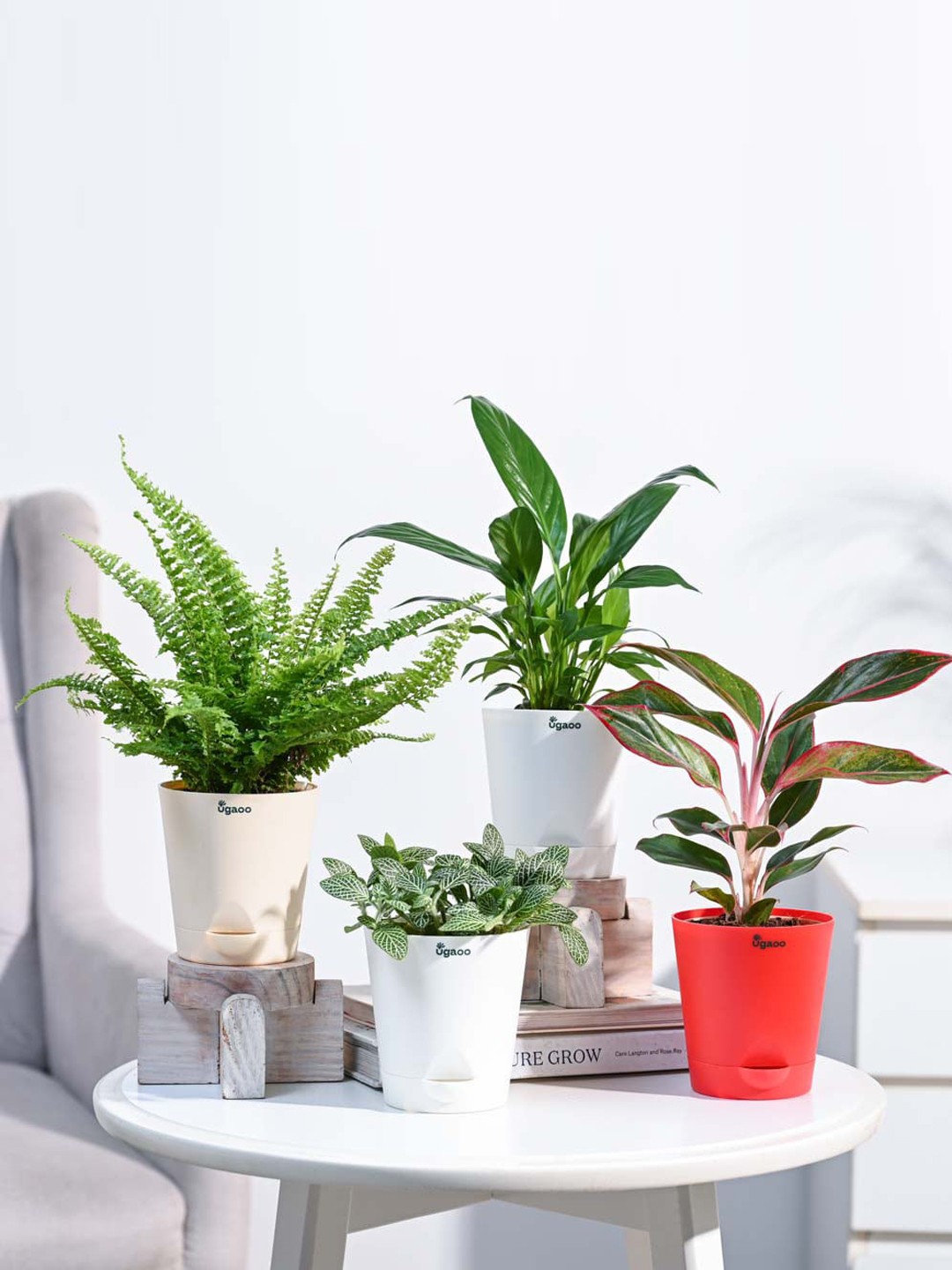 

UGAOO 4 Pieces Indoor Plants With Pot, Green