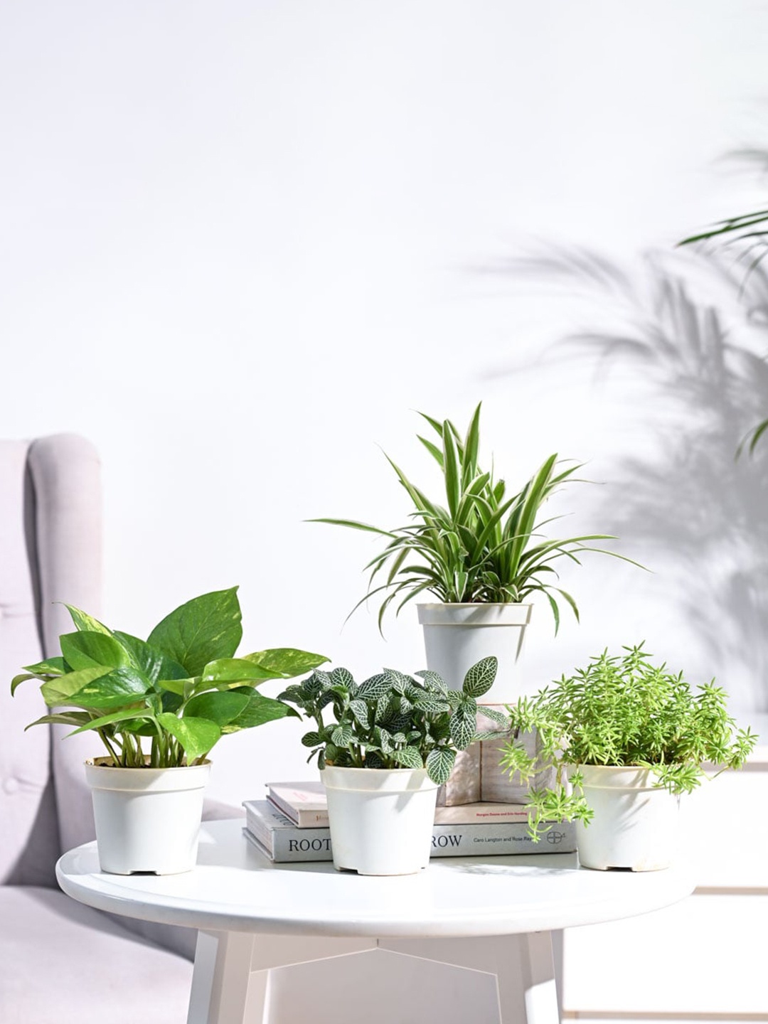 

UGAOO 4 Pcs Indoor Plant With Pot, Green