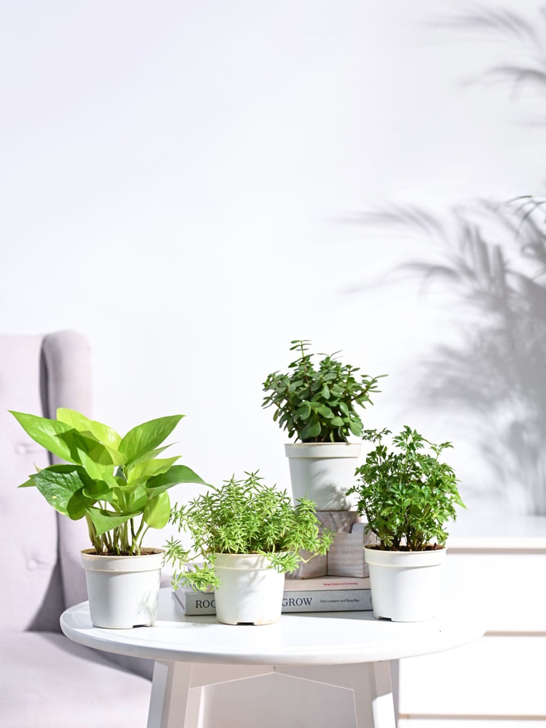 

UGAOO Green & White 4 Pieces Indoor Plants With Pot