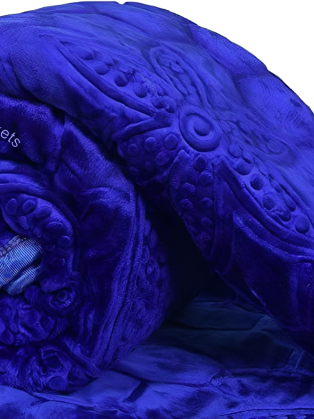 

Comfowell Blue Floral Heavy Winter 350 GSM Double Bed Blanket