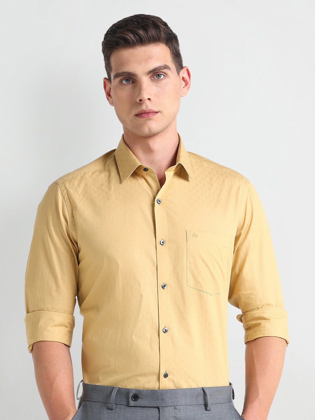 

Arrow Slim Fit Self Design Pure Cotton Formal Shirt, Beige