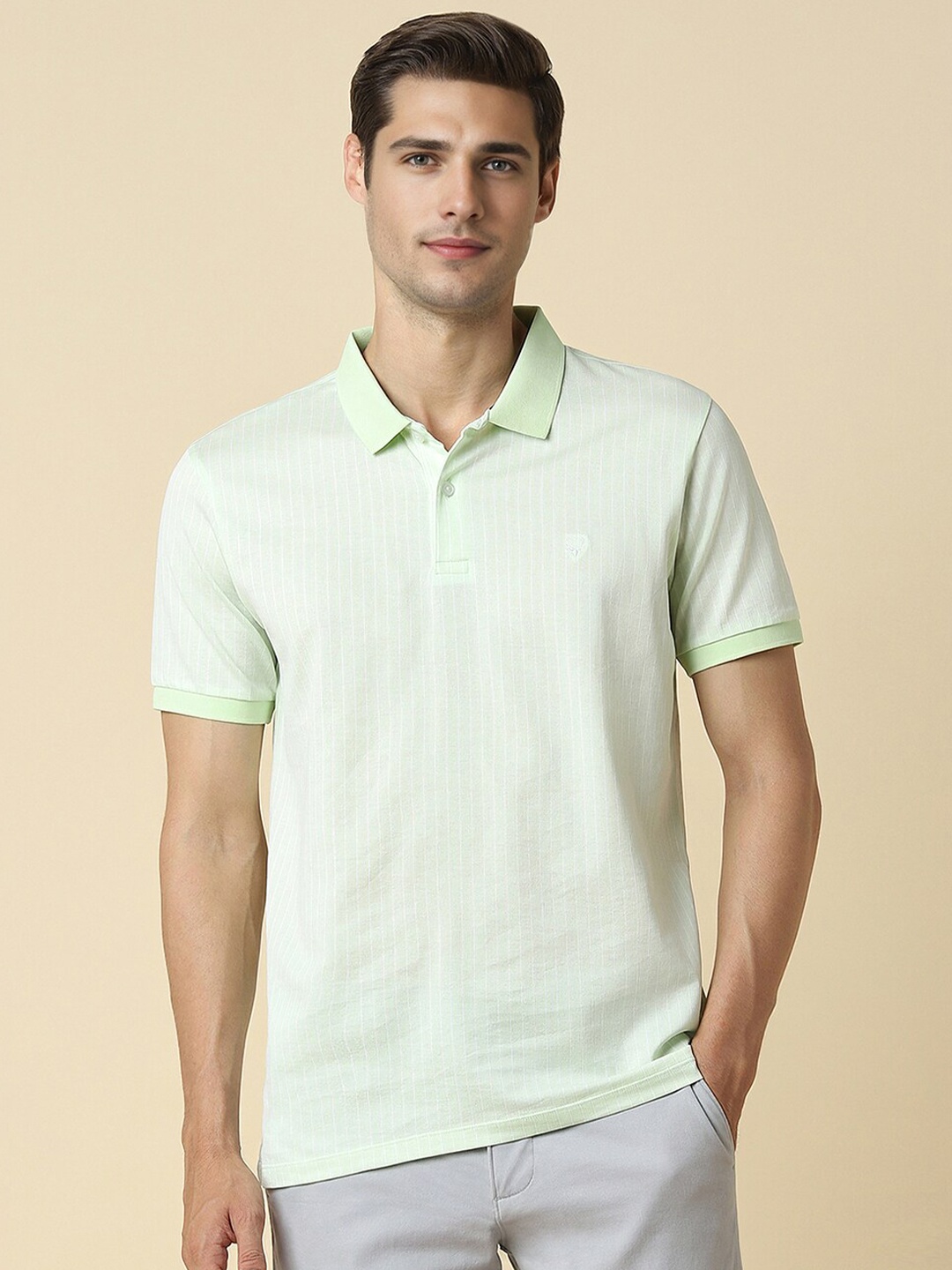 

Allen Solly Striped Polo Collar Pure Cotton T-shirt, Green
