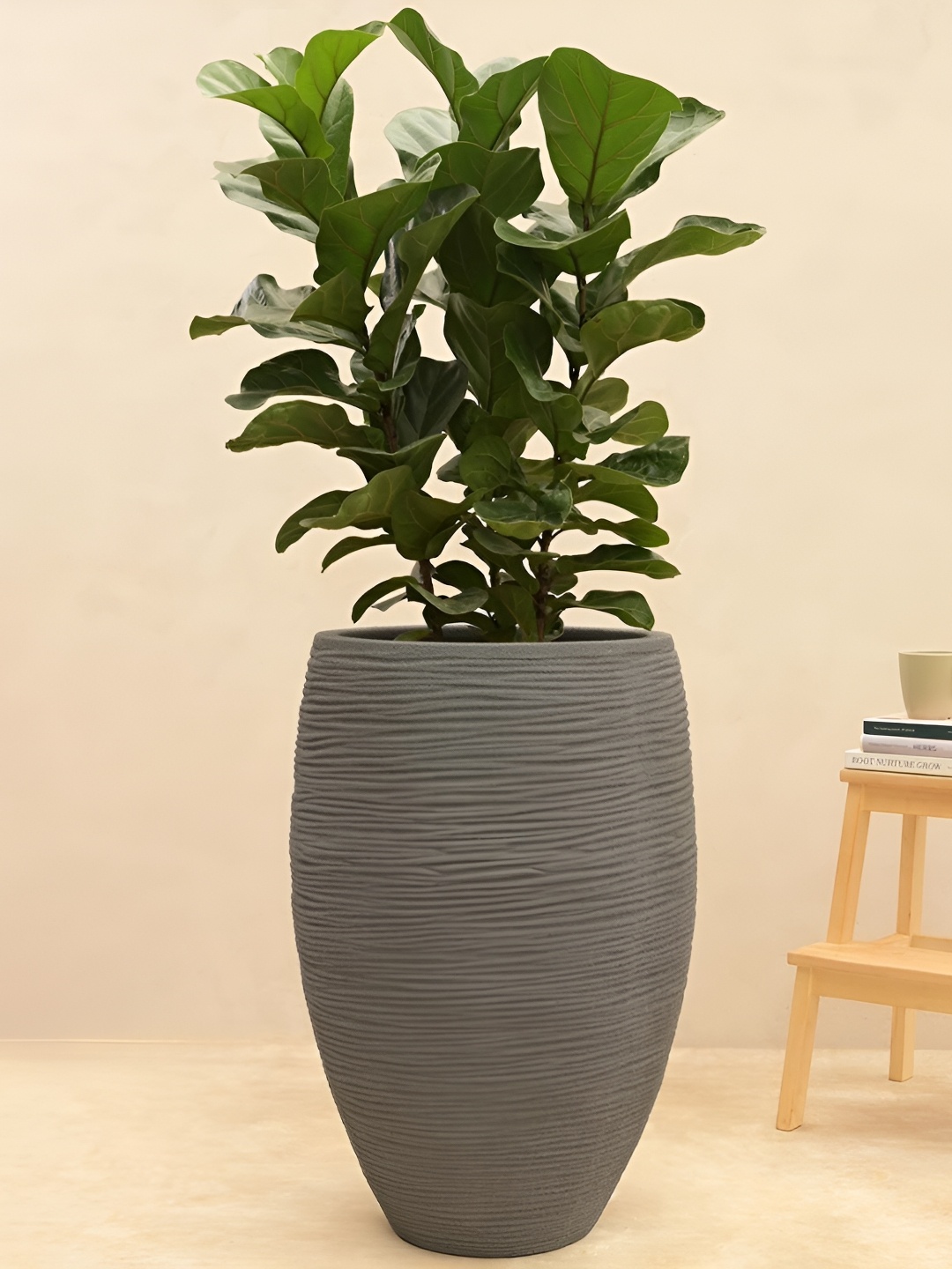 

UGAOO Grey Textured Large Planter