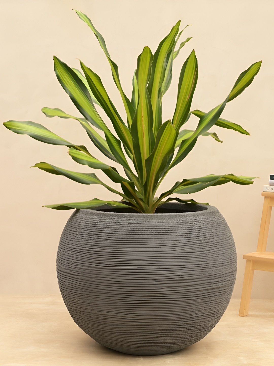 

UGAOO Grey Textured Large Planter