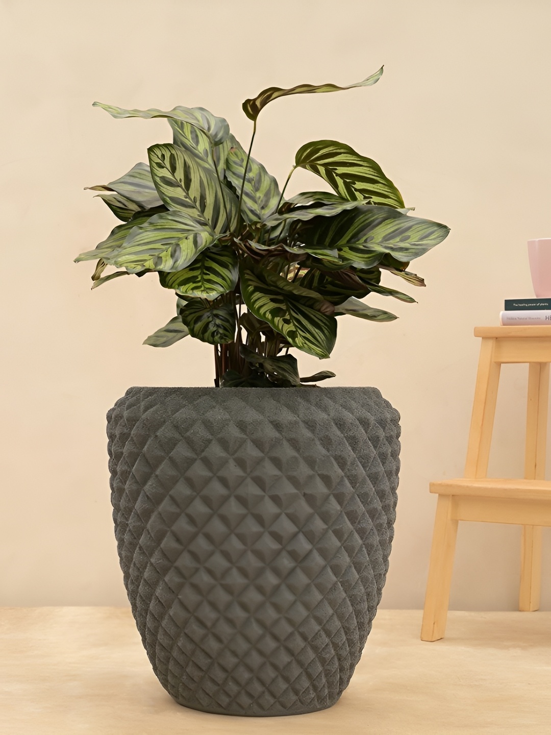 

UGAOO Grey Textured Large Planter