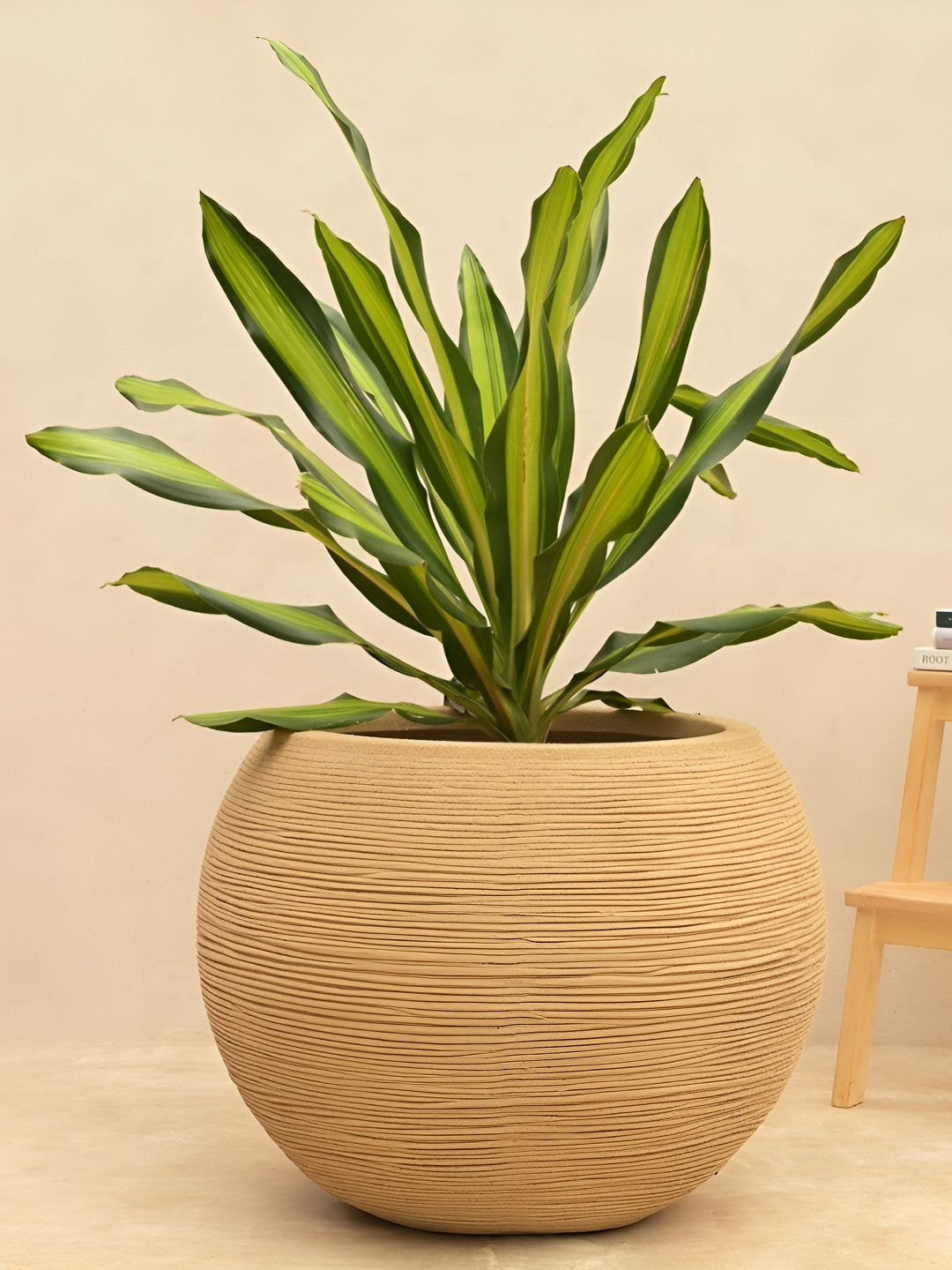 

UGAOO Beige Textured Large Planter