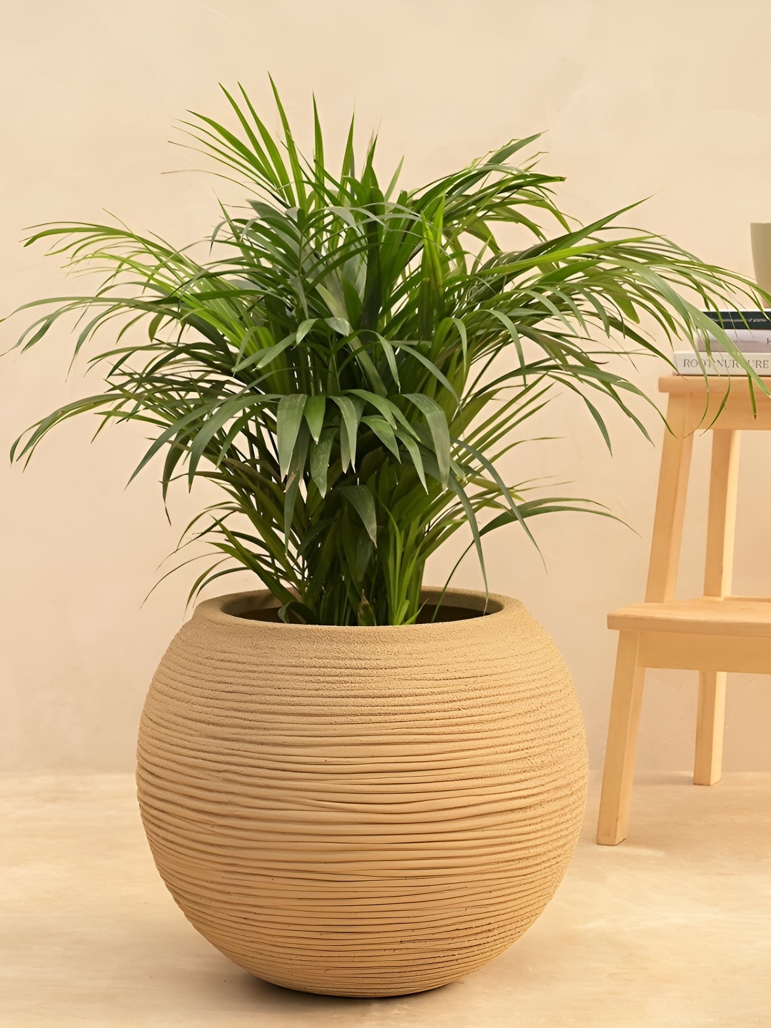 

UGAOO Beige Textured Small Planter