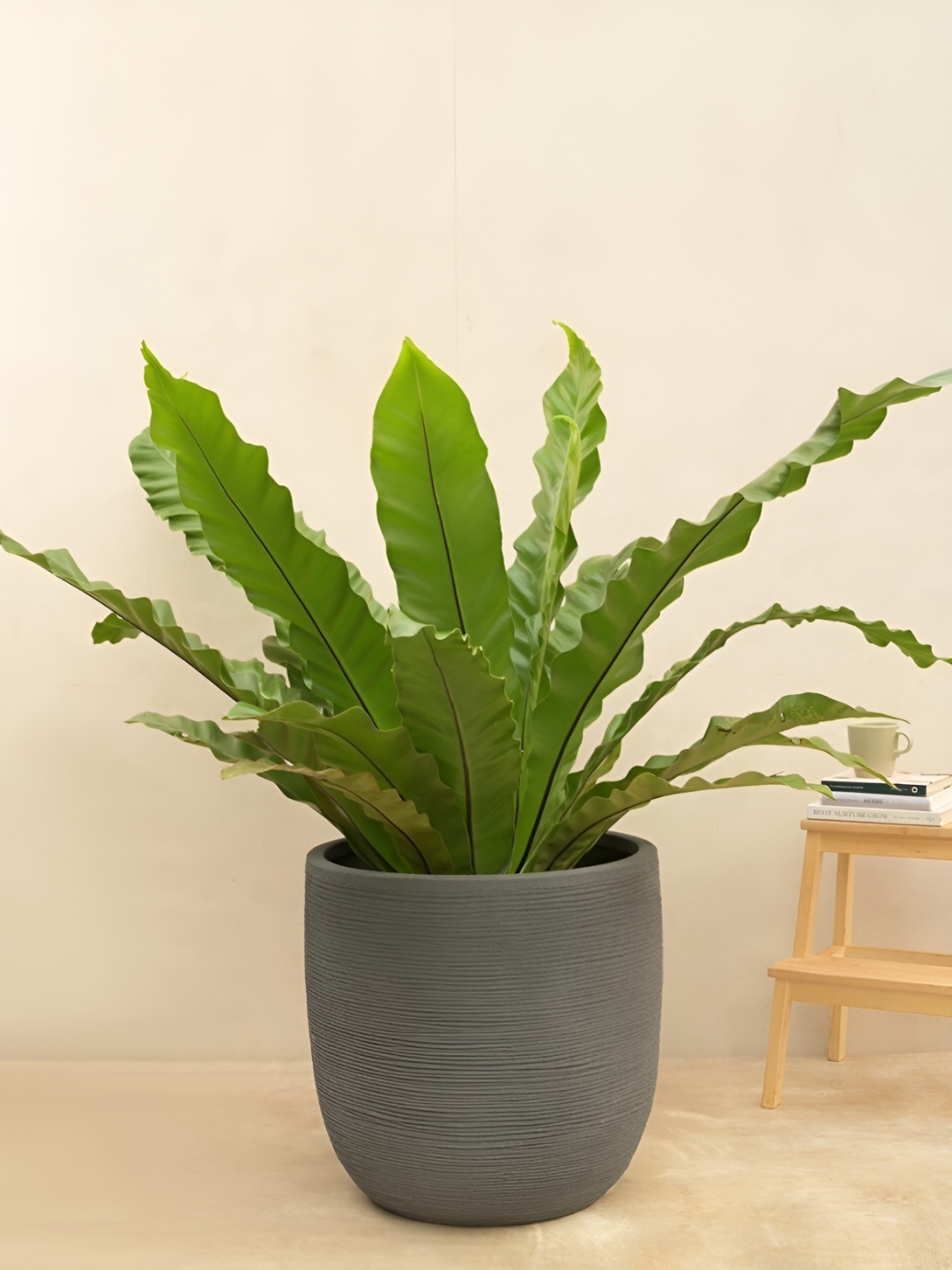 

UGAOO Grey Textured Large Planter