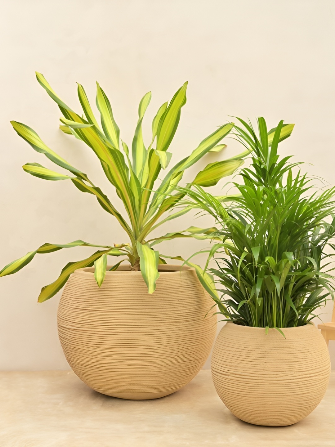 

UGAOO Beige 2 Pieces Textured Rib Stone Planters