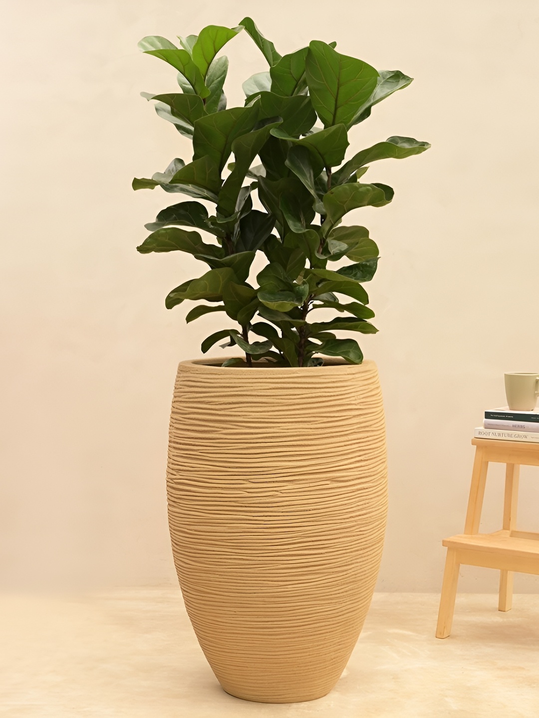 

UGAOO Beige Textured Large Planter