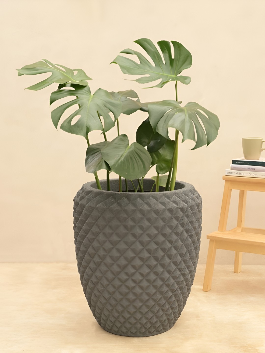 

UGAOO Grey Textured Diamond Low Small Planter